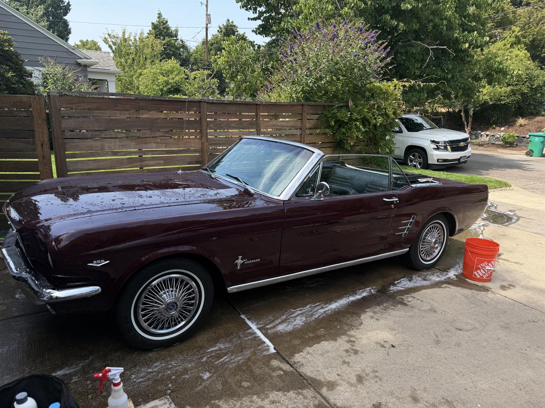 Freshly detailed classic Mustang in a Portland driveway